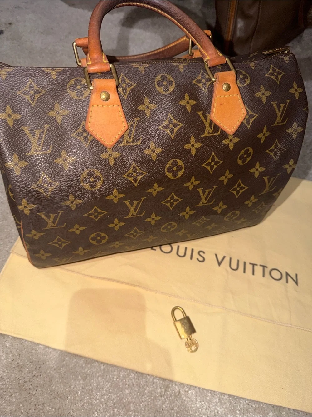 Louis Vuitton Speedy 30 with Silk-Handle Scarf and Gold Charm